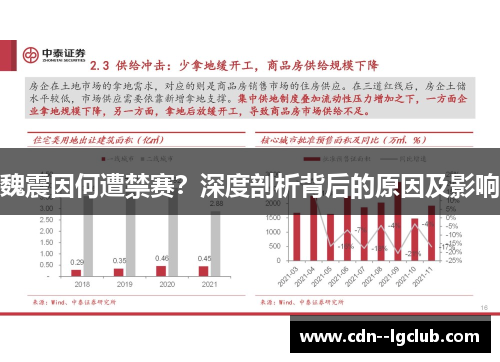 魏震因何遭禁赛?深度剖析背后的原因及影响 魏震因何遭禁赛?深度剖析背后的原因及影响
